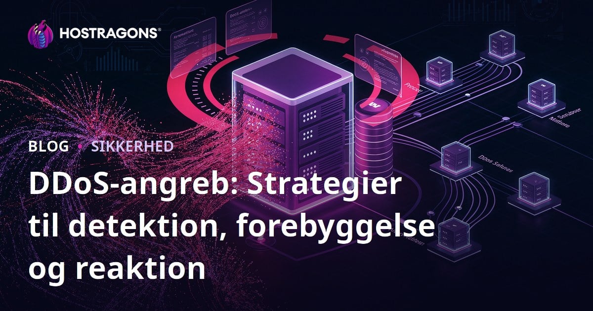 DDoS-angreb: Strategier til detektion, forebyggelse og reaktion