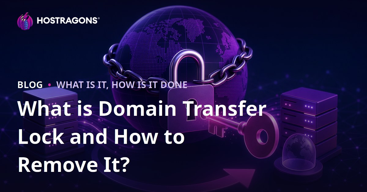 What is Domain Transfer Lock and How to Remove It?