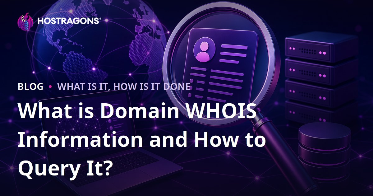 What is Domain WHOIS Information and How to Query It?