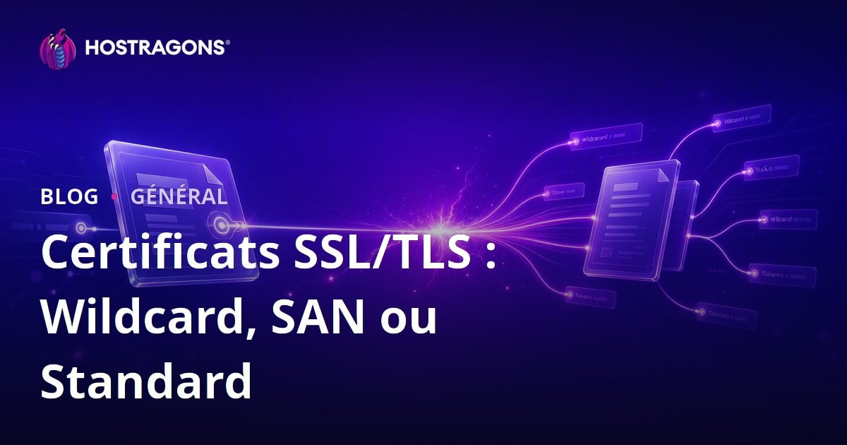Certificats SSL/TLS : Wildcard, SAN ou Standard