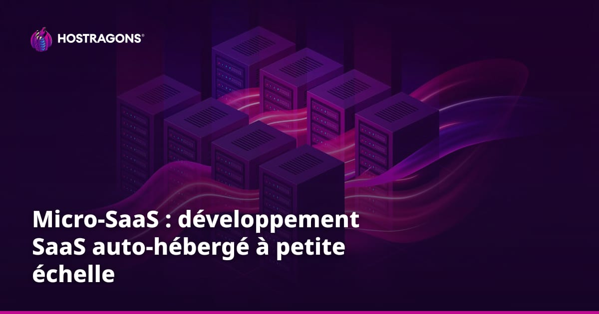 Micro-SaaS : développement SaaS auto-hébergé à petite échelle