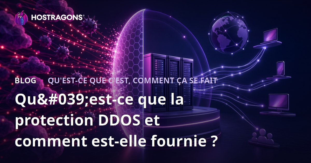 Qu'est-ce que la protection DDOS et comment est-elle fournie ?