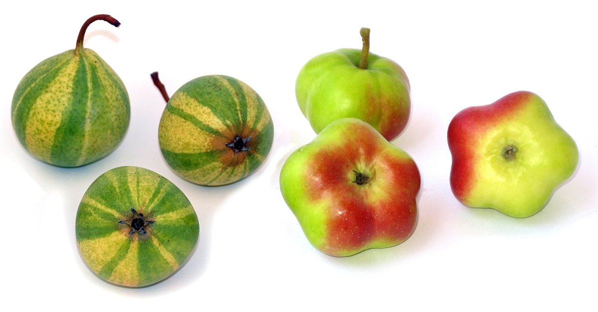 Analysis on API and Microservice Relationship