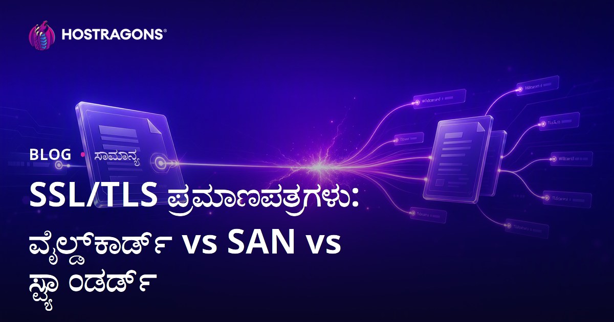 SSL/TLS ಪ್ರಮಾಣಪತ್ರಗಳು: ವೈಲ್ಡ್‌ಕಾರ್ಡ್ vs SAN vs ಸ್ಟ್ಯಾಂಡರ್ಡ್