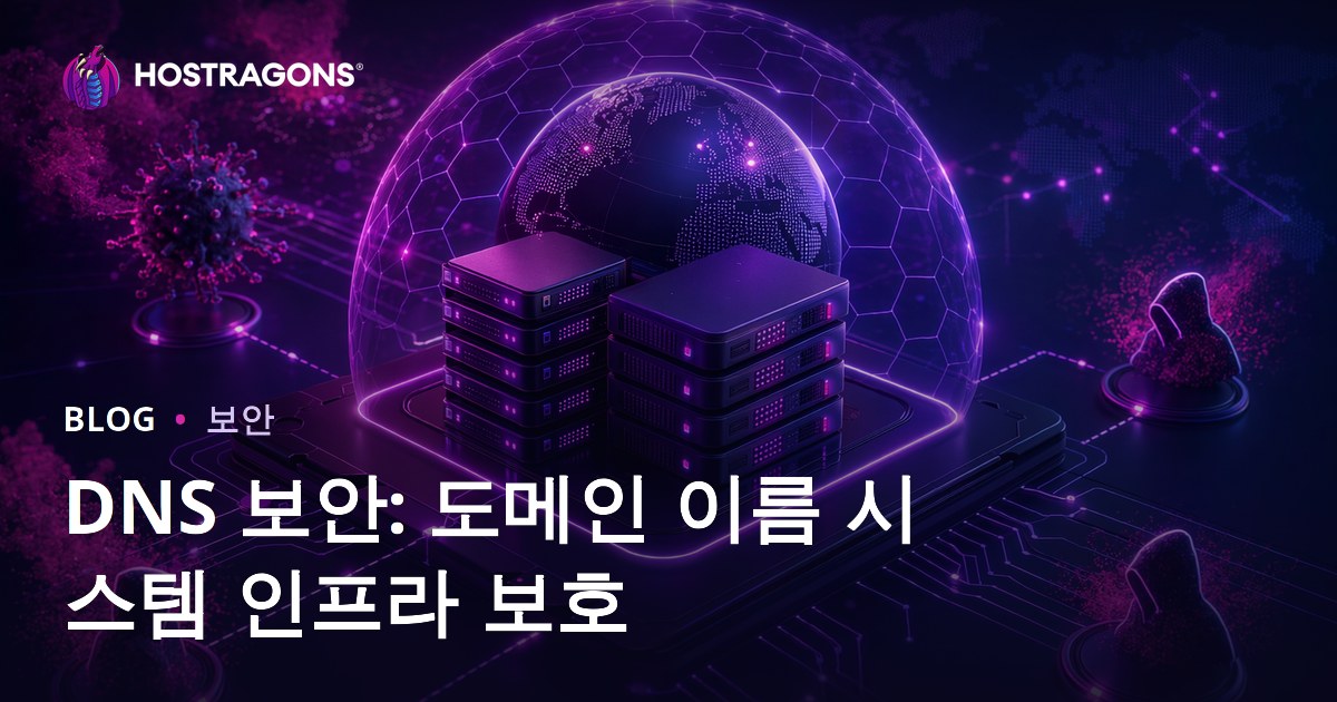 DNS 보안: 도메인 이름 시스템 인프라 보호