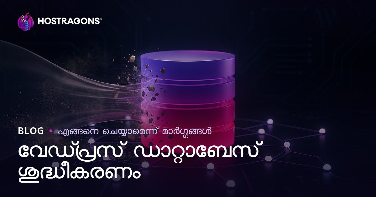 WordPress ഡാറ്റാബേസ് ക്ലീനിംഗ് & ഒപ്റ്റിമൈസേഷൻ എങ്ങനെ ചെയ്യാം?