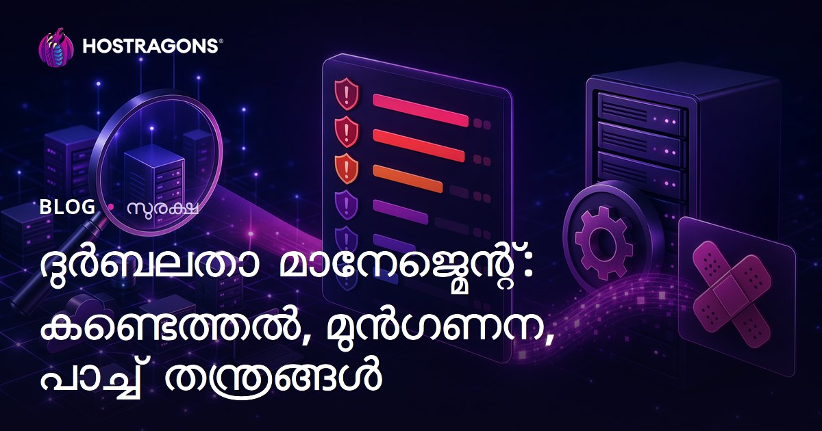 ദുർബലതാ മാനേജ്മെന്റ്: കണ്ടെത്തൽ, മുൻഗണന, പാച്ച് തന്ത്രങ്ങൾ