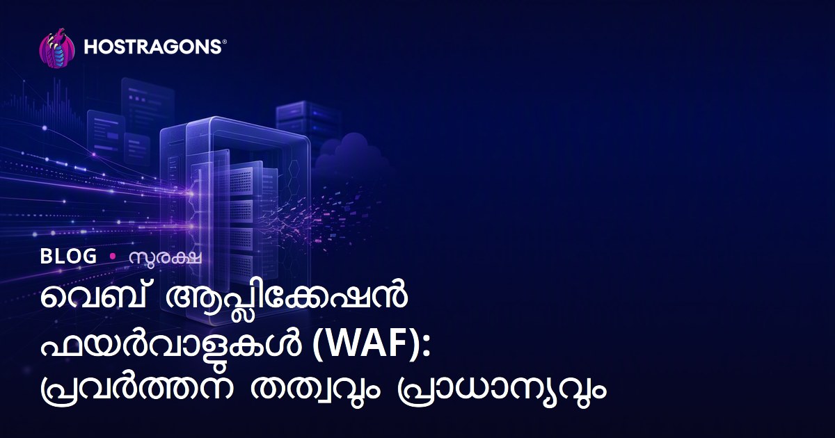 വെബ് ആപ്ലിക്കേഷൻ ഫയർവാളുകൾ (WAF): പ്രവർത്തന തത്വവും പ്രാധാന്യവും