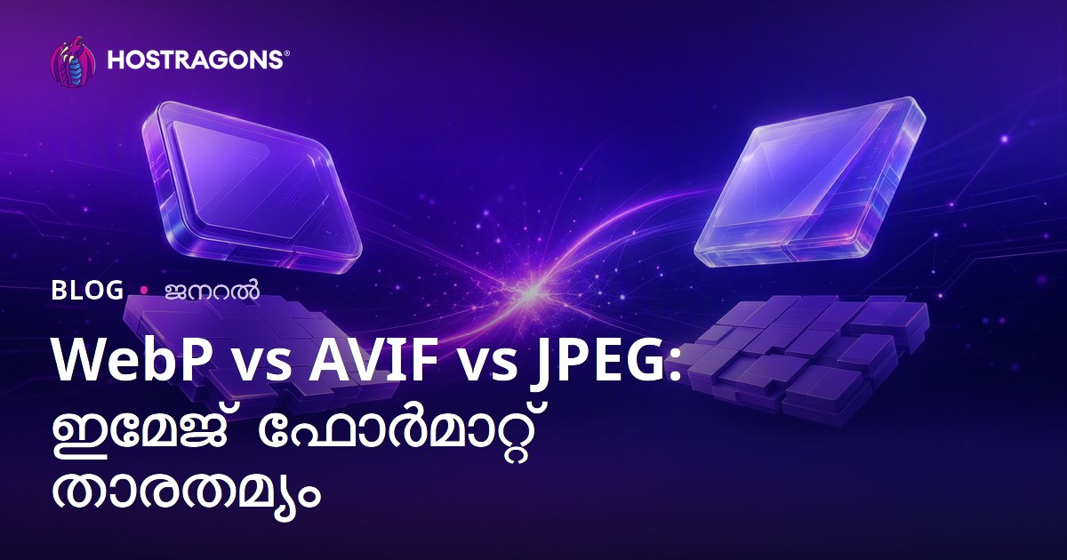 WebP vs AVIF vs JPEG: ഇമേജ് ഫോർമാറ്റ് താരതമ്യം