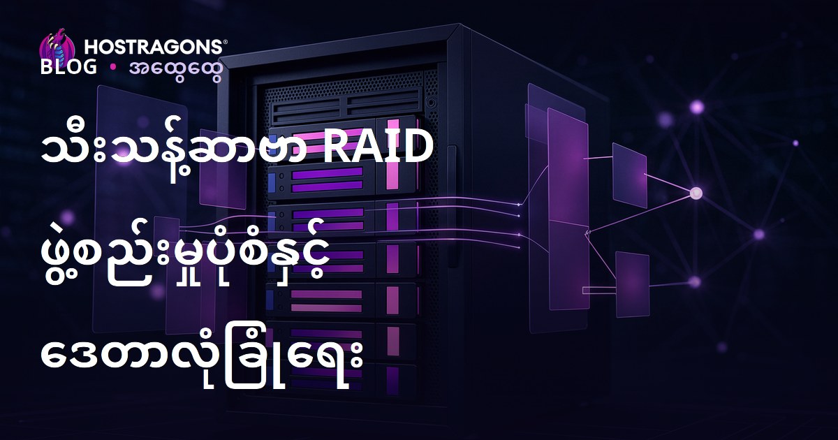 သီးသန့်ဆာဗာ RAID ဖွဲ့စည်းမှုပုံစံနှင့် ဒေတာလုံခြုံရေး