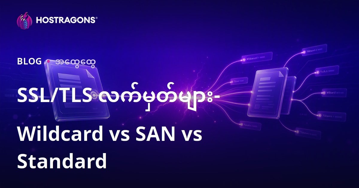 SSL/TLS လက်မှတ်များ- Wildcard vs SAN vs Standard