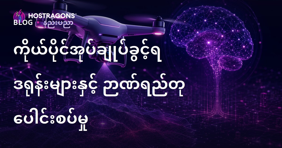 ကိုယ်ပိုင်အုပ်ချုပ်ခွင့်ရ ဒရုန်းများနှင့် ဉာဏ်ရည်တု ပေါင်းစပ်မှု