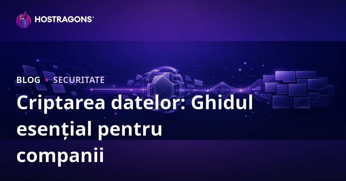Criptarea datelor: Ghidul esențial pentru companii