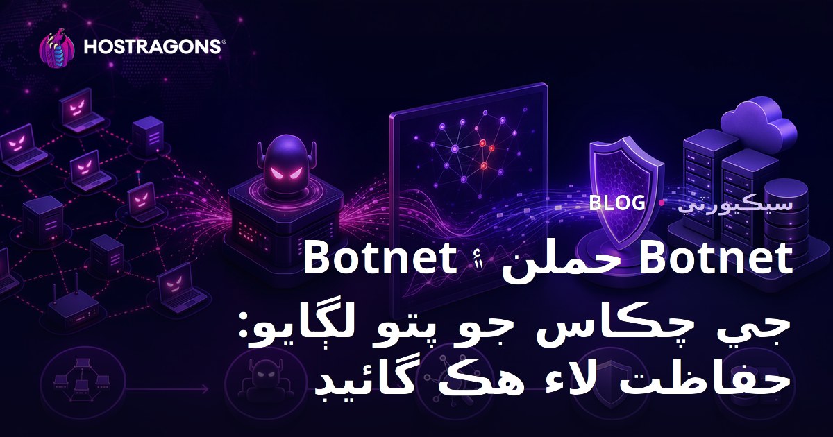Botnet حملن ۽ Botnet جي چڪاس جو پتو لڳايو: حفاظت لاء هڪ گائيڊ