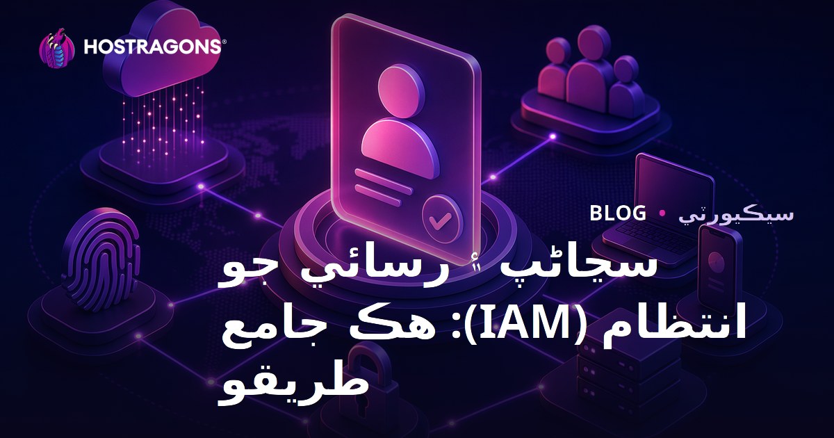 سڃاڻپ ۽ رسائي جو انتظام (IAM): هڪ جامع طريقو