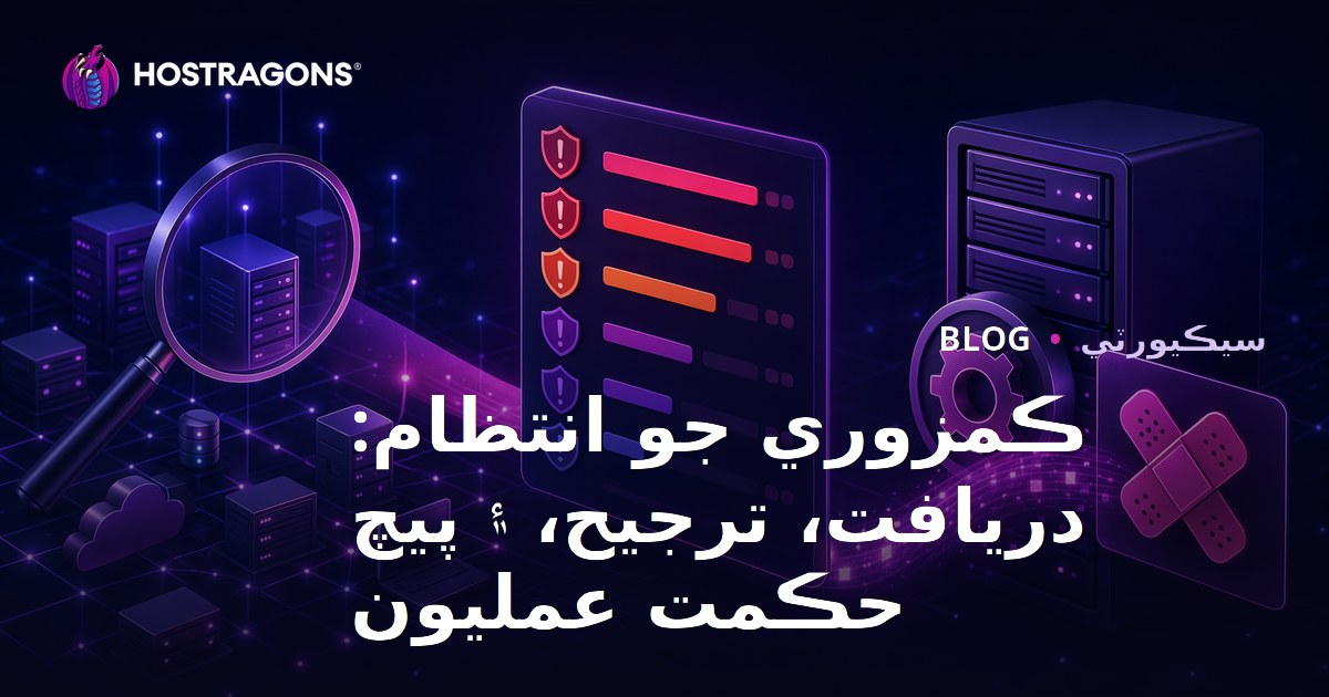 ڪمزوري جو انتظام: دريافت، ترجيح، ۽ پيچ حڪمت عمليون