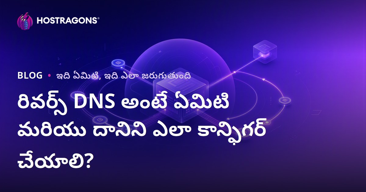 Reverse DNS అంటే ఏమిటి? IPటీని Domainకు అనుసంధానించడం ఎలా చేయాలి?