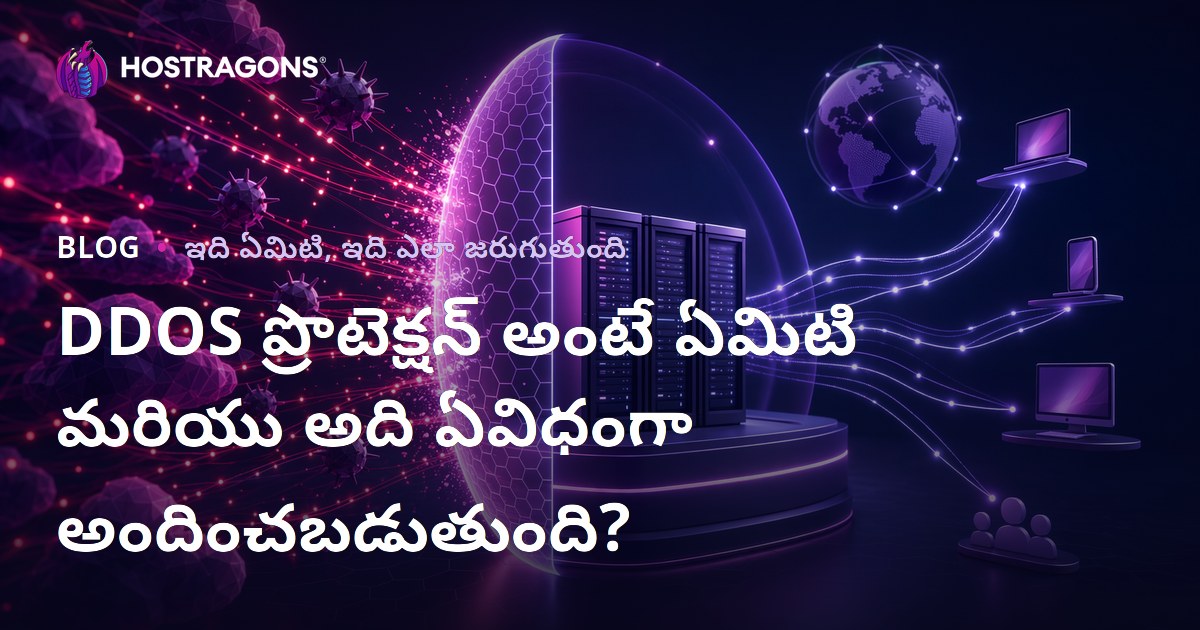 DDOS ప్రొటెక్షన్ అంటే ఏమిటి మరియు అది ఏవిధంగా అందించబడుతుంది?