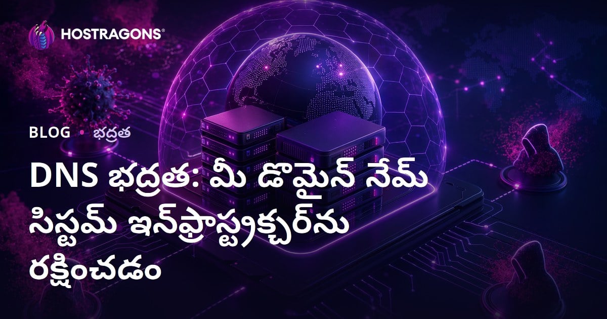 DNS భద్రత: మీ డొమైన్ నేమ్ సిస్టమ్ ఇన్‌ఫ్రాస్ట్రక్చర్‌ను రక్షించడం