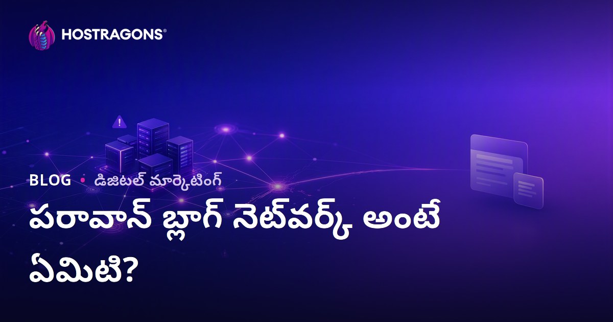 PBN అంటే ఏమిటి? ప్రైవేట్ బ్లాగ్ నెట్‌వర్క్ SEO రిస్కులు మరియు ప్రభావాలు