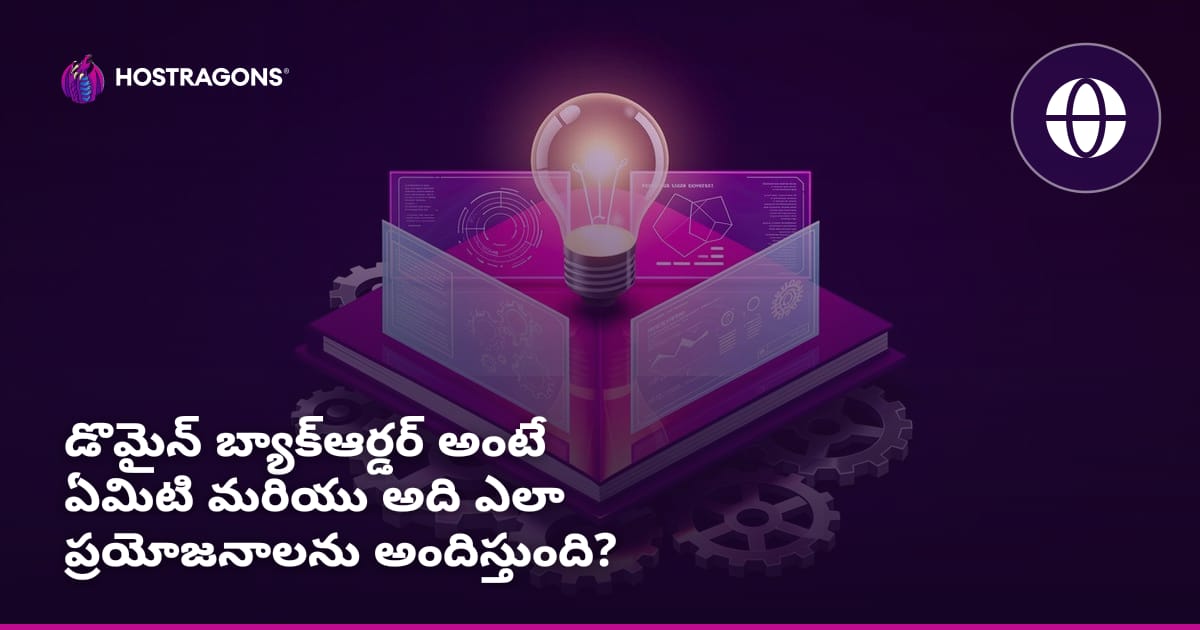 డొమైన్ బ్యాక్‌ఆర్డర్ అంటే ఏమిటి మరియు అది ఎలా ప్రయోజనాలను అందిస్తుంది?