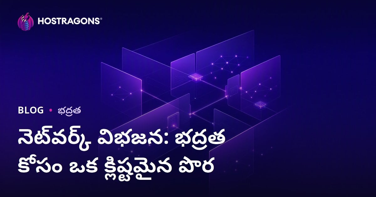 నెట్‌వర్క్ విభజన: భద్రత కోసం ఒక క్లిష్టమైన పొర