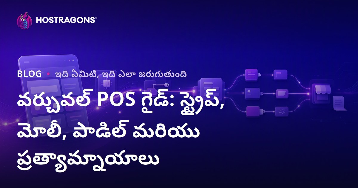 వర్చువల్ POS గైడ్: స్ట్రైప్, మోలీ, పాడిల్ మరియు ప్రత్యామ్నాయాలు