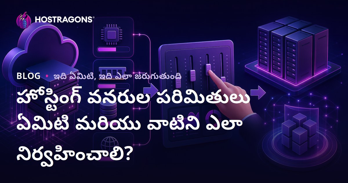 హోస్టింగ్ వనరుల పరిమితులు ఏమిటి మరియు వాటిని ఎలా నిర్వహించాలి?