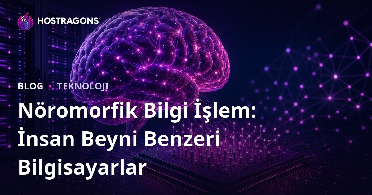 Nöromorfik Bilgi İşlem: İnsan Beyni Benzeri Bilgisayarlar