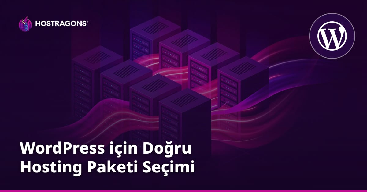 WordPress için Doğru Hosting Paketi Seçimi
