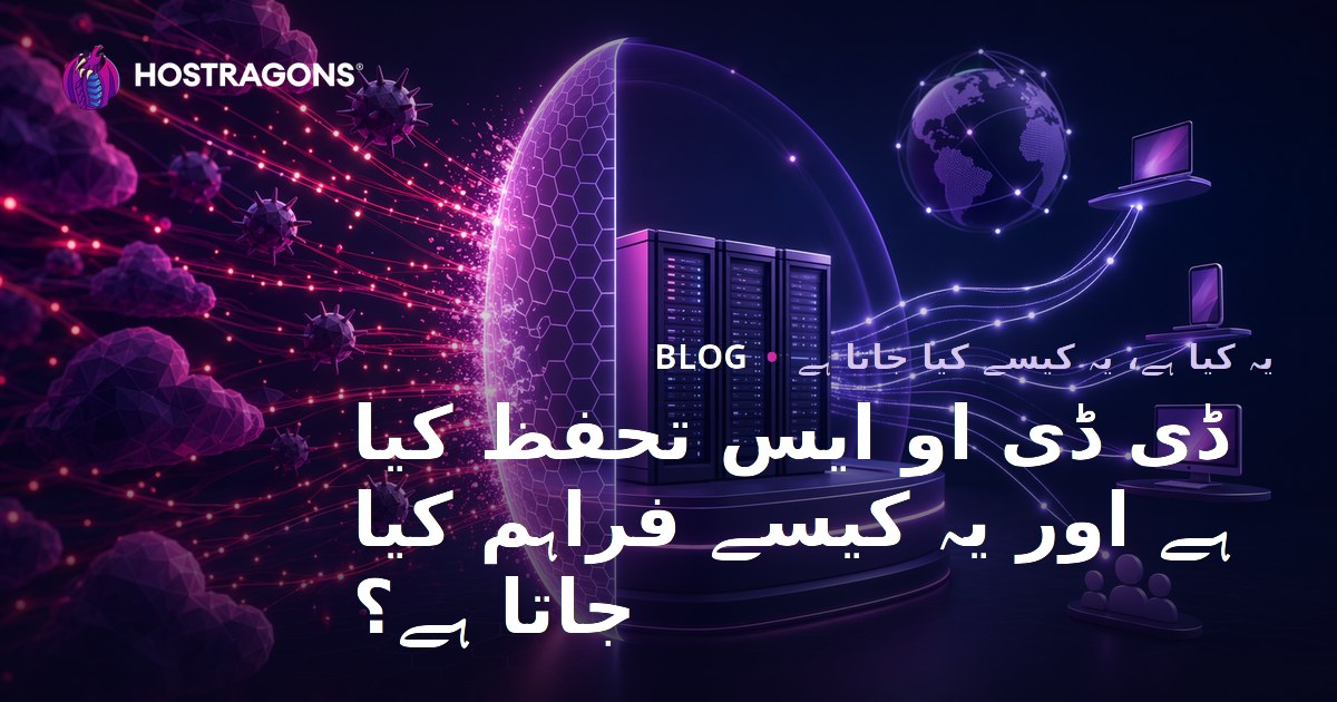 ڈی ڈی او ایس تحفظ کیا ہے اور یہ کیسے فراہم کیا جاتا ہے؟