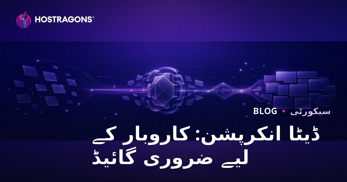ڈیٹا انکرپشن: کاروبار کے لیے ضروری گائیڈ