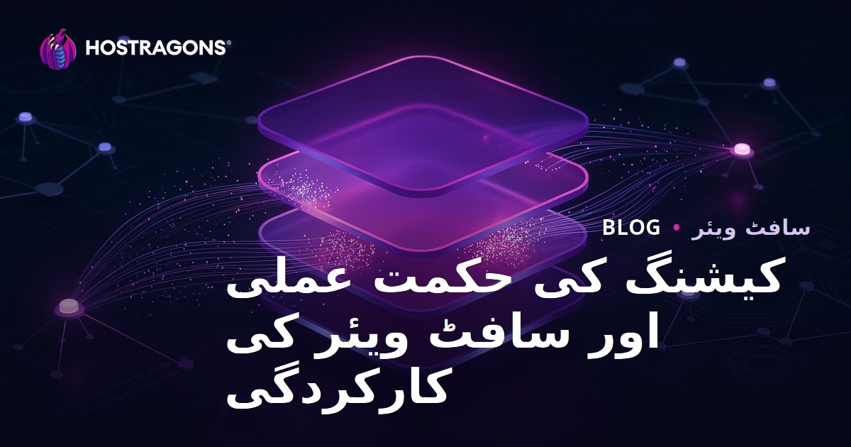 کیشنگ کی حکمت عملی اور سافٹ ویئر کی کارکردگی