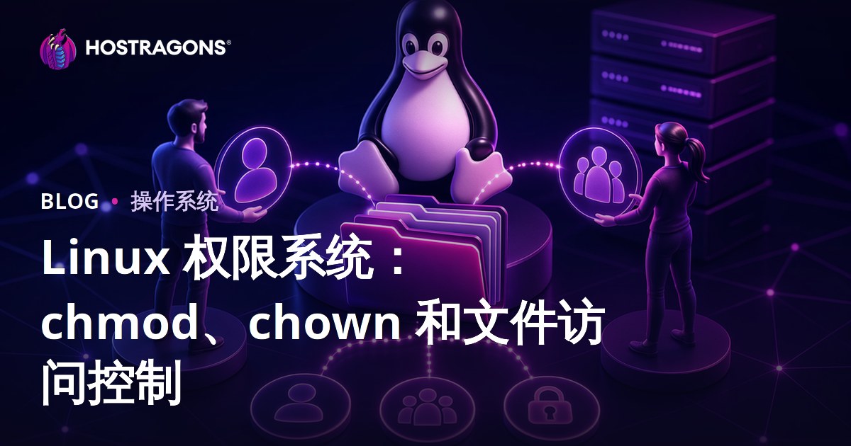 Linux 权限系统：chmod、chown 和文件访问控制