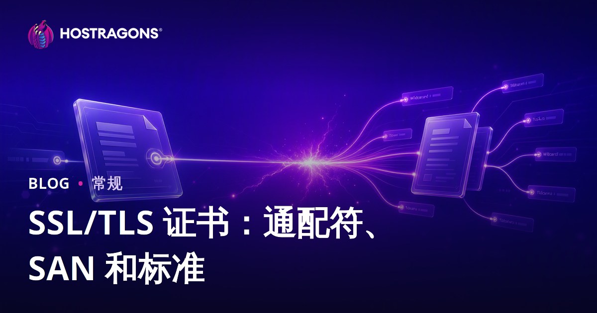 SSL/TLS 证书：通配符、SAN 和标准
